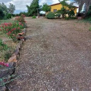 I 13 Pini Di Putzu Anna Maria Alloggio per agriturismo